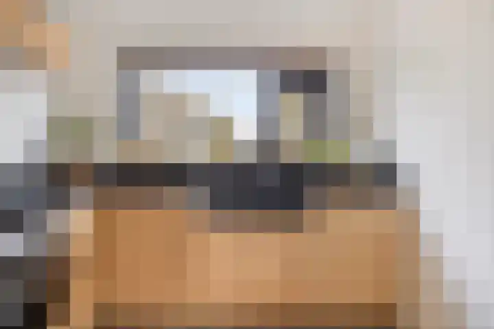 Keizerfazant 9 Heerhugowaard thumbnail 14