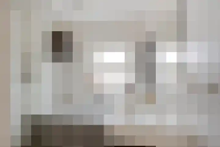 Keizerfazant 9 Heerhugowaard thumbnail 21