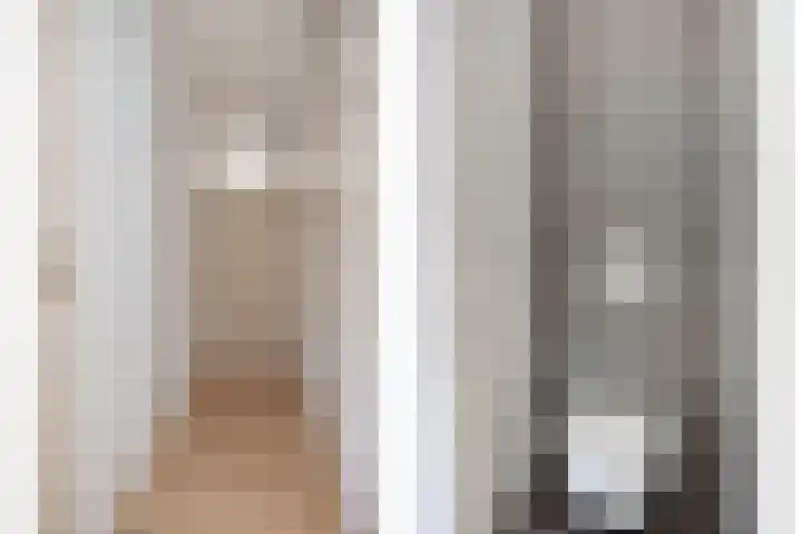 Keizerfazant 9 Heerhugowaard thumbnail 23