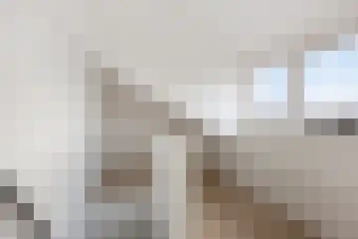 Keizerfazant 9 Heerhugowaard thumbnail 24