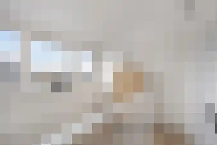Keizerfazant 9 Heerhugowaard thumbnail 25