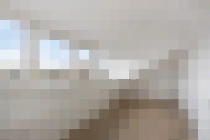 Keizerfazant 9 Heerhugowaard thumbnail 26