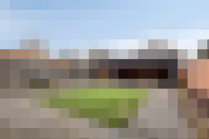 Keizerfazant 9 Heerhugowaard thumbnail 28