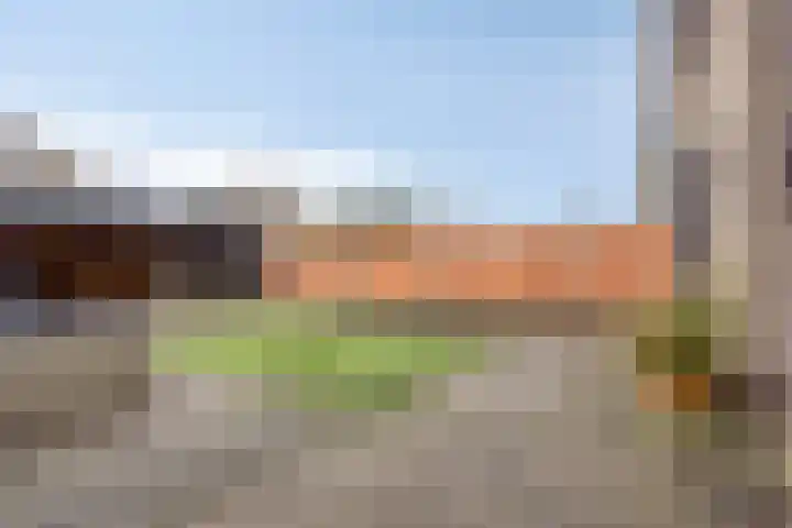 Keizerfazant 9 Heerhugowaard thumbnail 29
