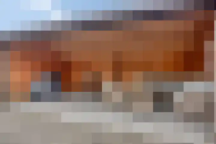 Keizerfazant 9 Heerhugowaard thumbnail 30