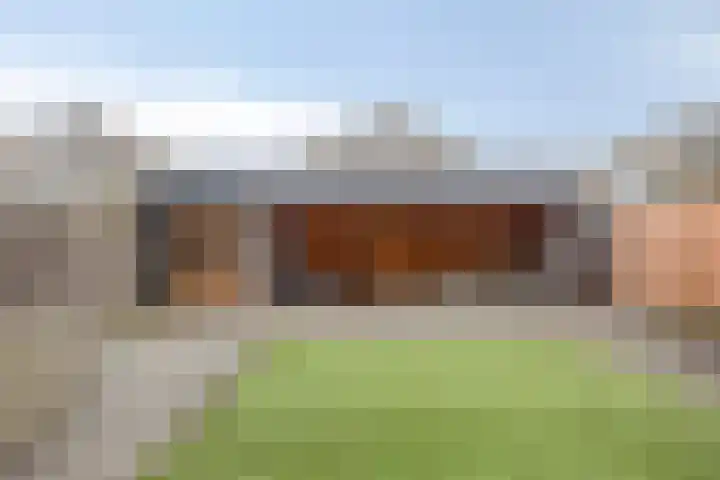 Keizerfazant 9 Heerhugowaard thumbnail 32