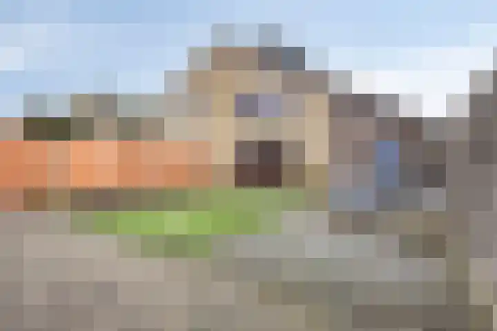Keizerfazant 9 Heerhugowaard thumbnail 33
