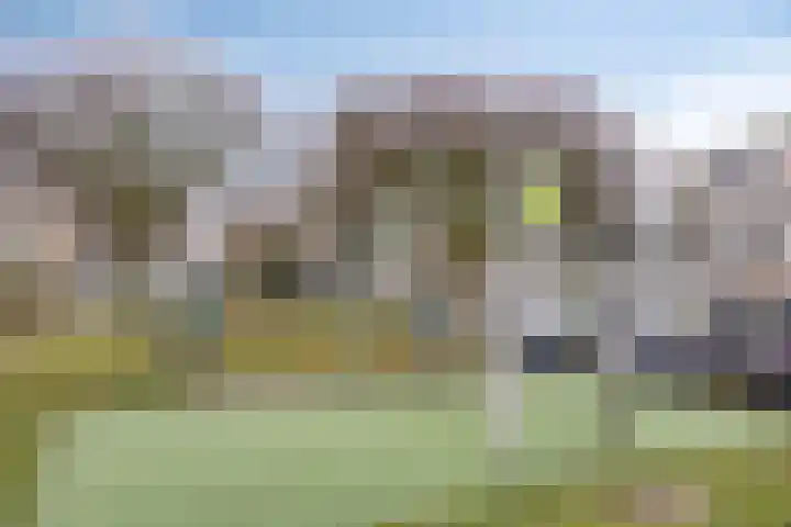 Keizerfazant 9 Heerhugowaard thumbnail 34