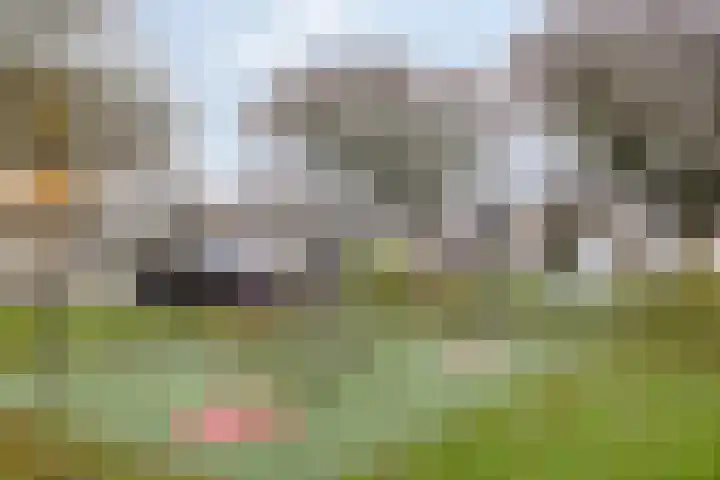 Keizerfazant 9 Heerhugowaard thumbnail 35