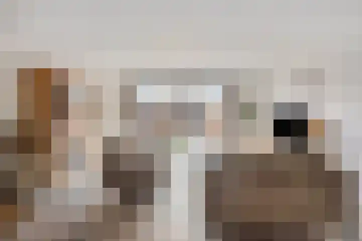 Keizerfazant 9 Heerhugowaard thumbnail 7