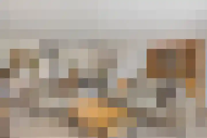 Keizerfazant 9 Heerhugowaard thumbnail 8