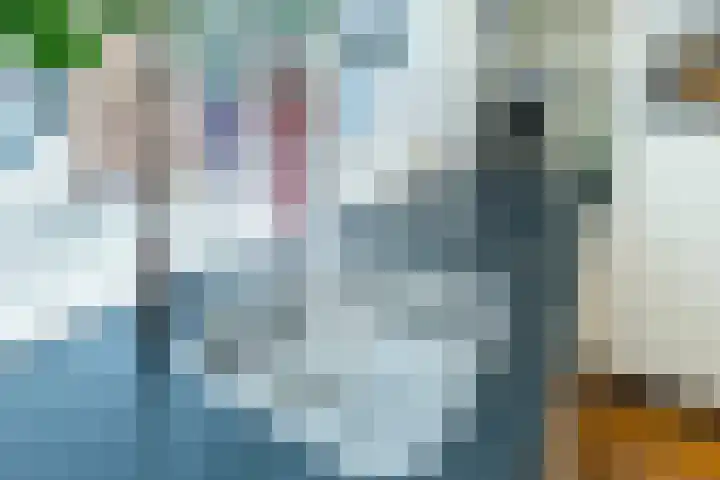 Keizerin 23 Den Hoorn thumbnail 17