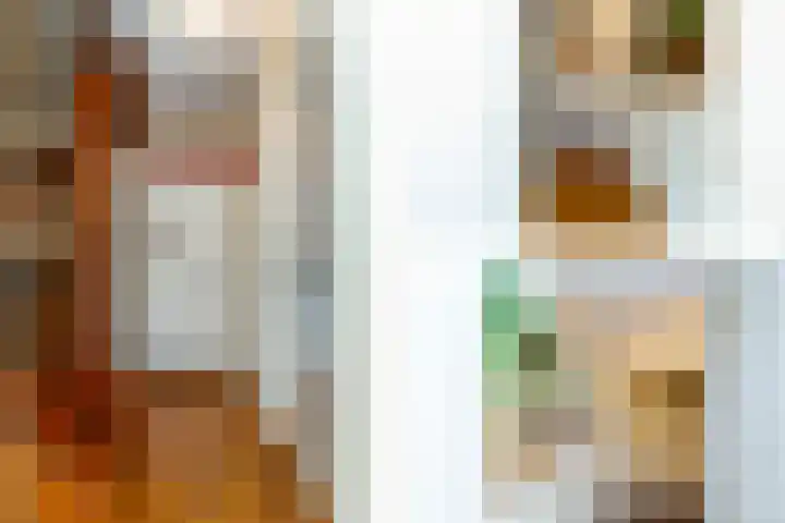 Keizerin 23 Den Hoorn thumbnail 21