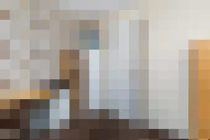 Keizerin 23 Den Hoorn thumbnail 30