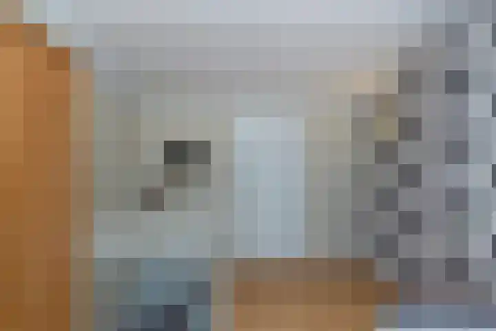 Keizerin 23 Den Hoorn thumbnail 33
