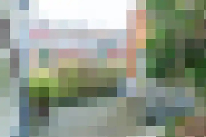 Keizerin 23 Den Hoorn thumbnail 39