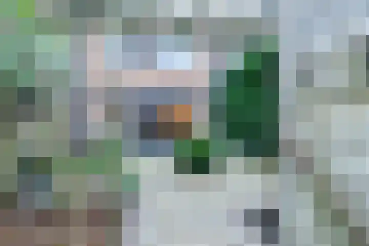 Keizerin 23 Den Hoorn thumbnail 40