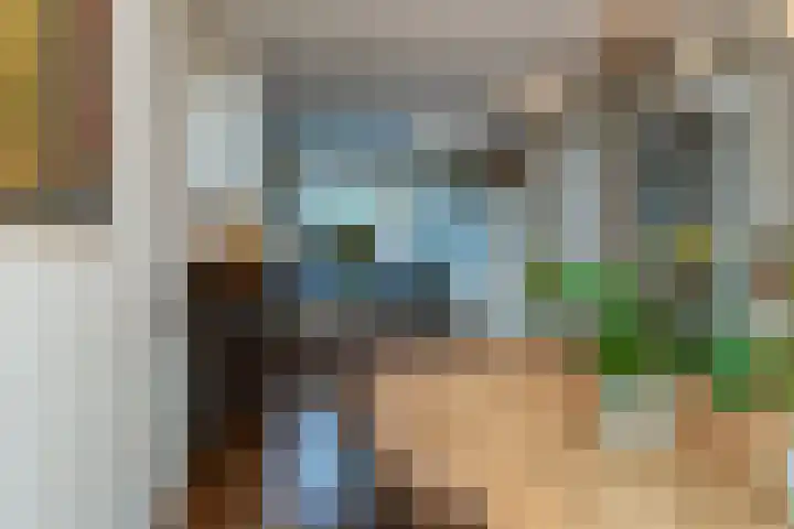 Keizerin 23 Den Hoorn thumbnail 8