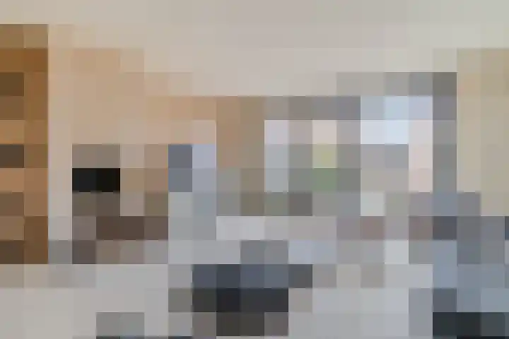 Keizerin 32 Den Hoorn thumbnail 10