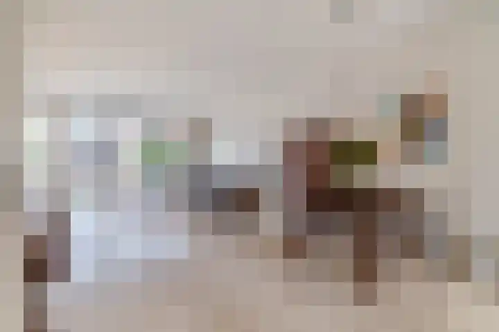 Keizerin 32 Den Hoorn thumbnail 13