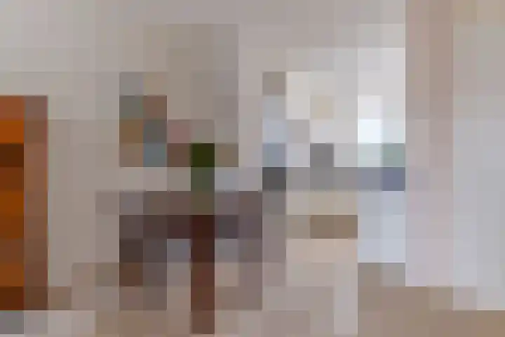 Keizerin 32 Den Hoorn thumbnail 15