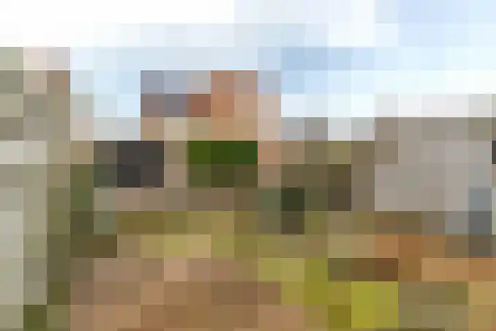 Keizerin 32 Den Hoorn thumbnail 19