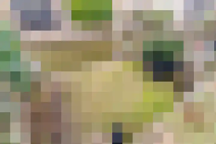 Keizerin 32 Den Hoorn thumbnail 20