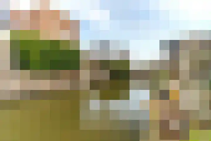 Keizerin 32 Den Hoorn thumbnail 21