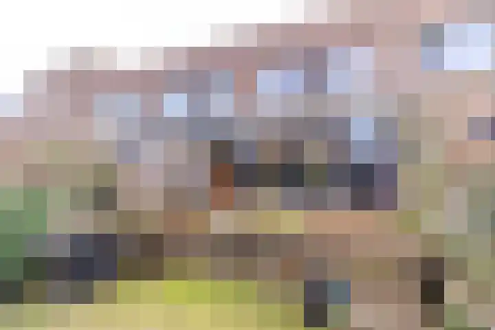 Keizerin 32 Den Hoorn thumbnail 24