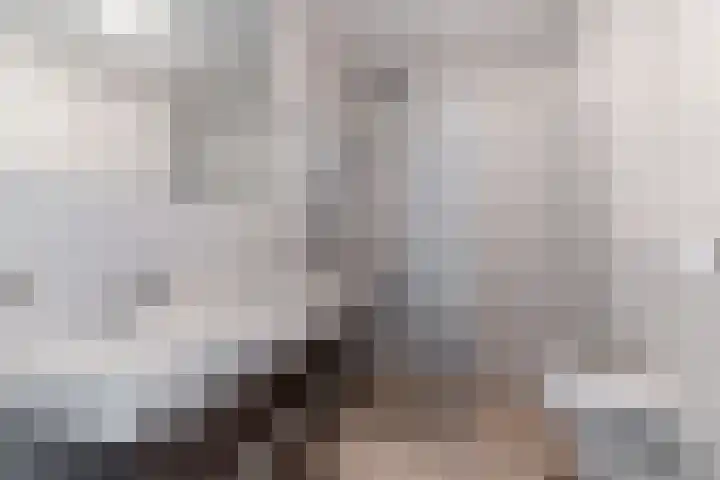 Keizerin 32 Den Hoorn thumbnail 33