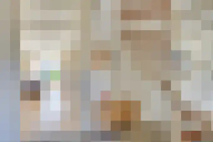 Keizerinnestraat 8 Geldrop thumbnail 10