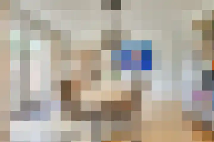 Keizerinnestraat 8 Geldrop thumbnail 17