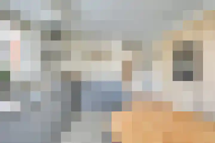 Keizerinnestraat 8 Geldrop thumbnail 23