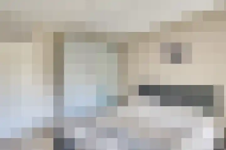 Keizerinnestraat 8 Geldrop thumbnail 27