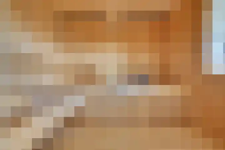 Keizerinnestraat 8 Geldrop thumbnail 36