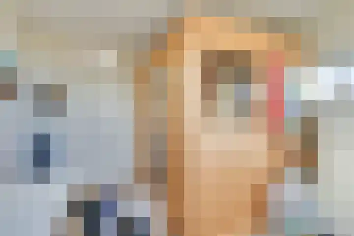 Keizerinnestraat 8 Geldrop thumbnail 37