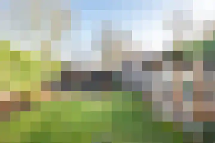 Keizerinnestraat 8 Geldrop thumbnail 43