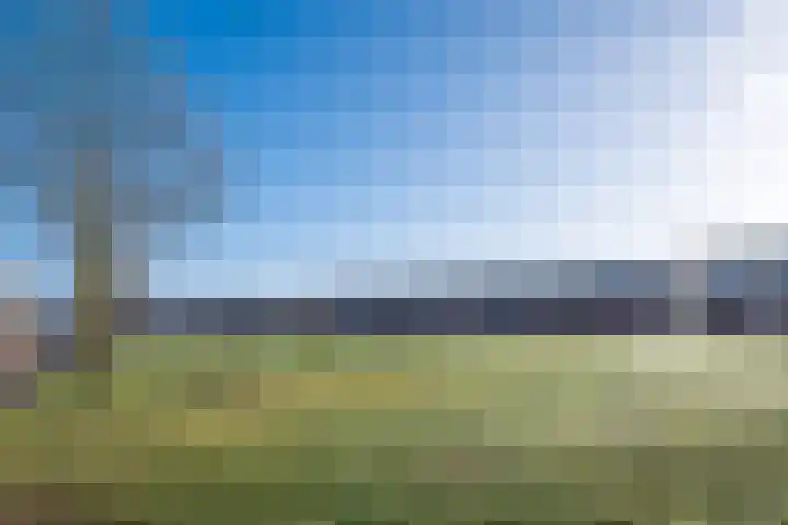 Keizerinnestraat 8 Geldrop thumbnail 48