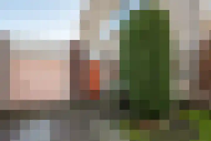 Keizerinnestraat 8 Geldrop thumbnail 8