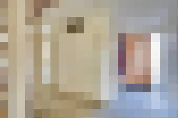 Keizerinnestraat 8 Geldrop thumbnail 9