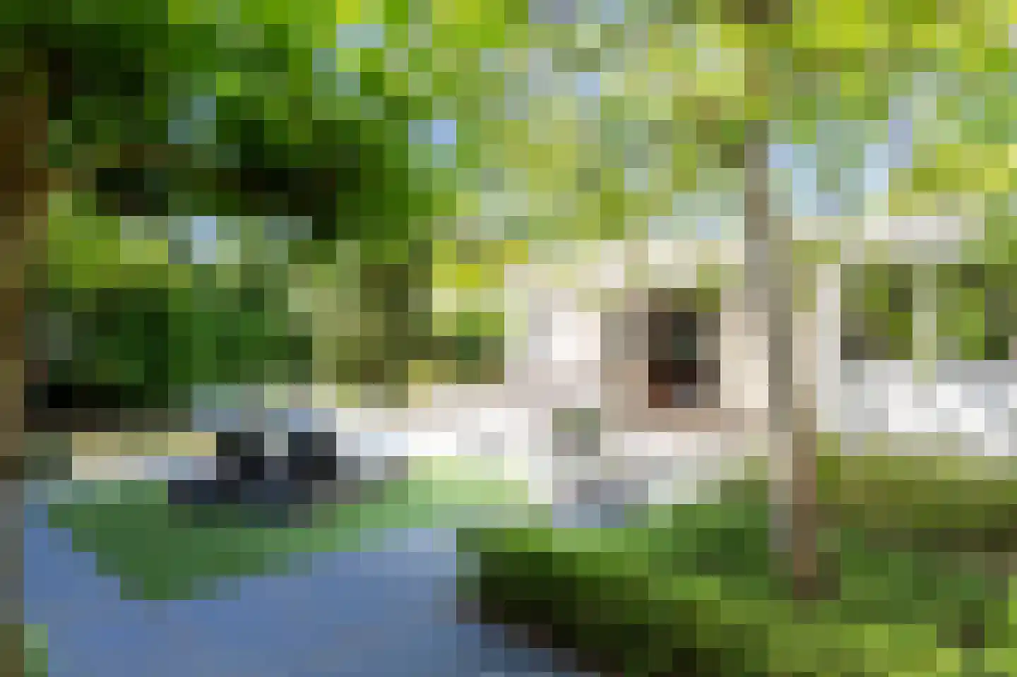 Keizerlaan 12 Helmond thumbnail 35