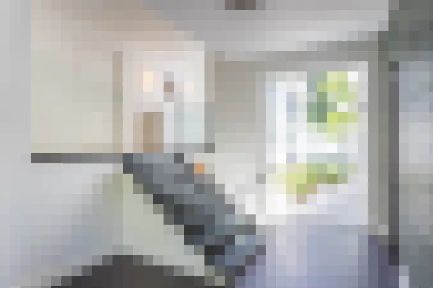 Keizerlaan 12 Helmond thumbnail 5