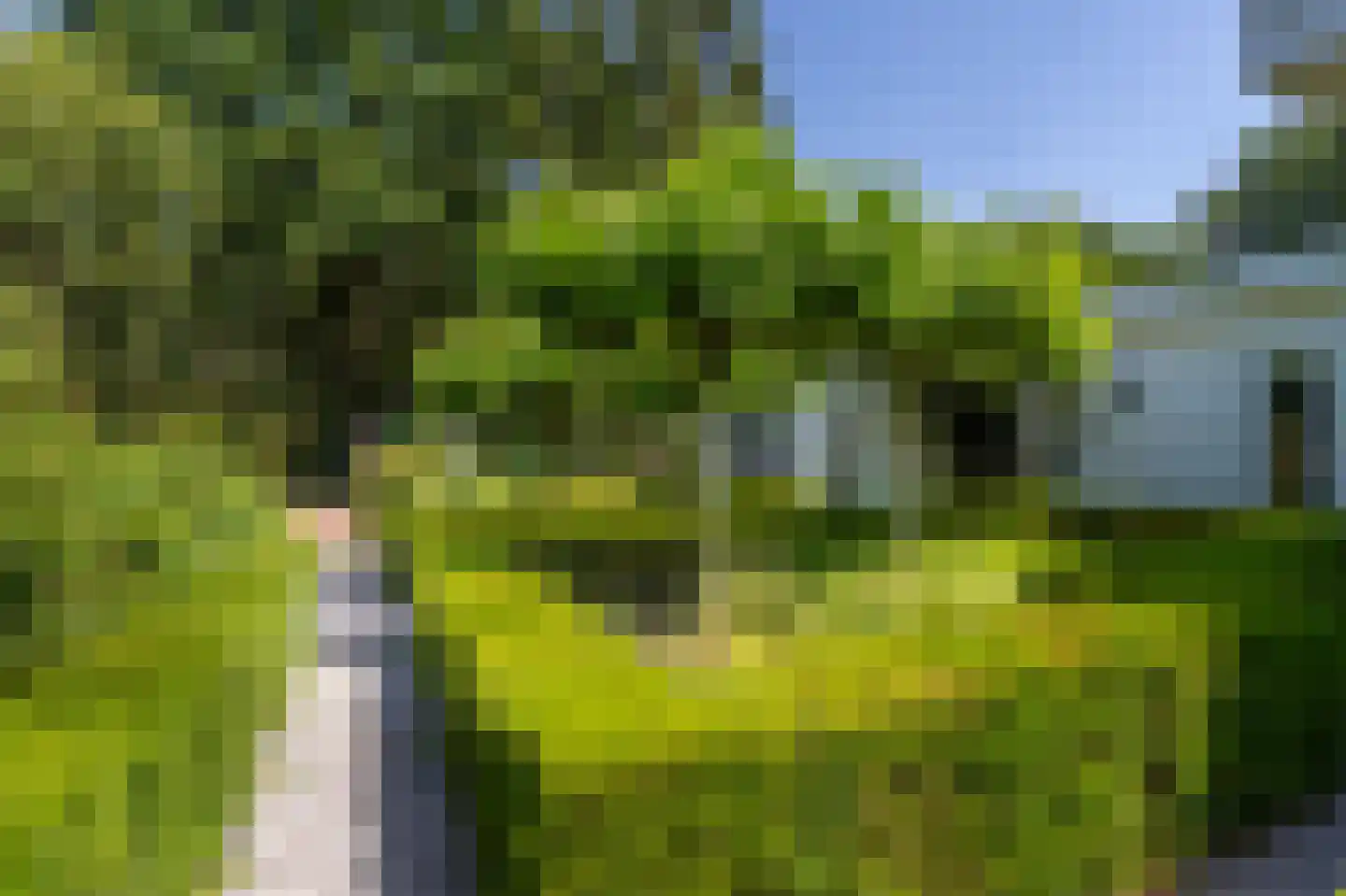 Keizerlaan 12 Helmond thumbnail 53