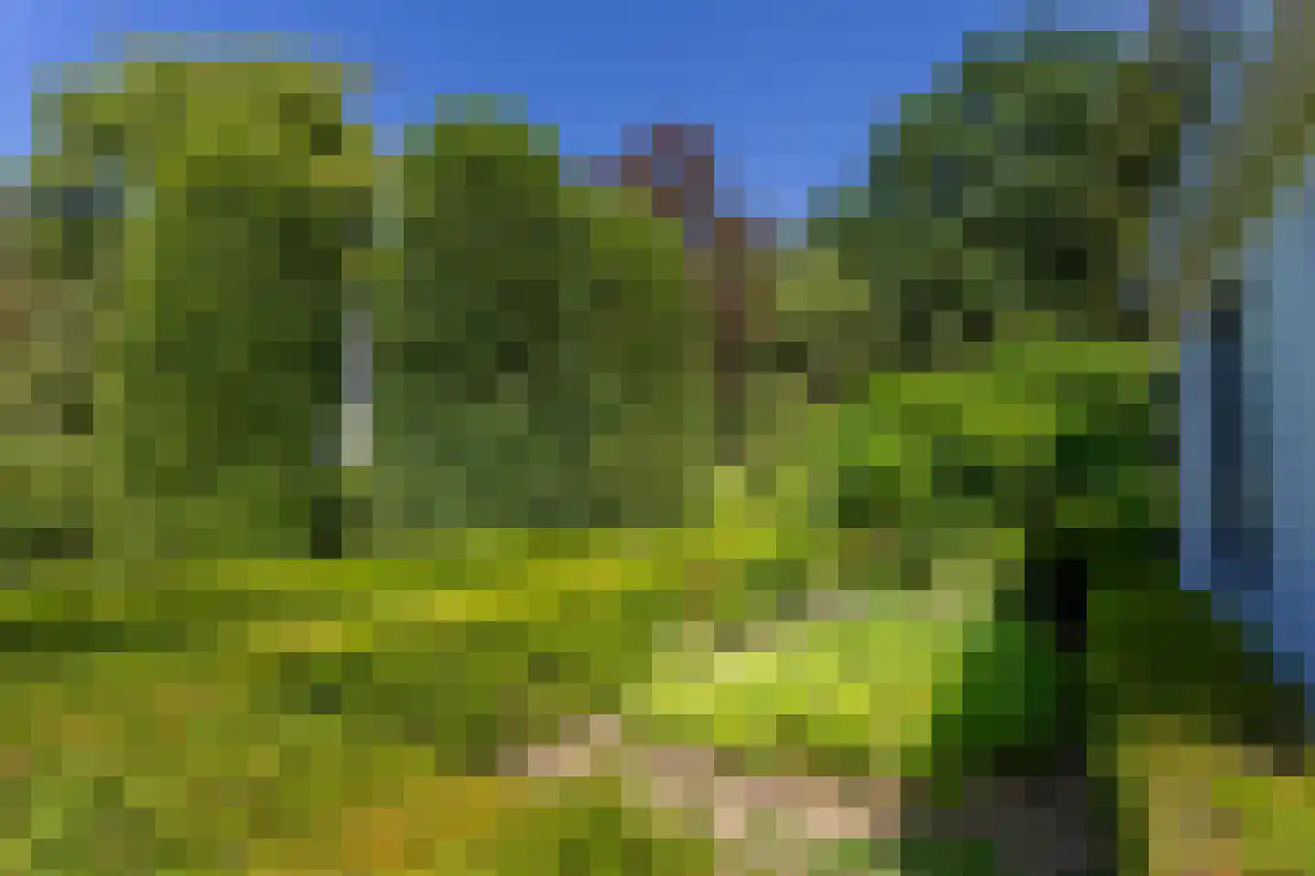 Keizerlaan 12 Helmond thumbnail 56