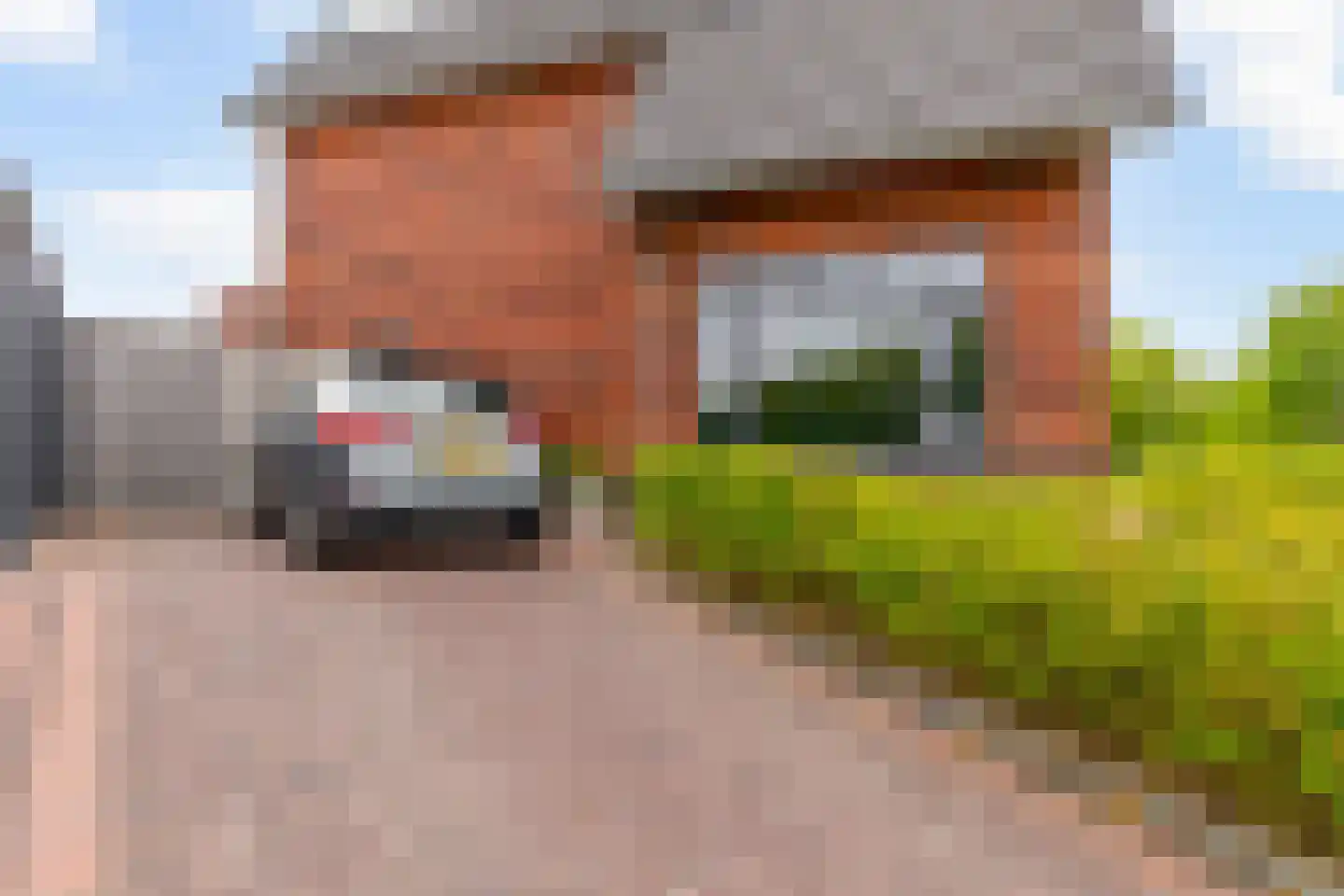 Keizersallee 22 Huissen thumbnail 15