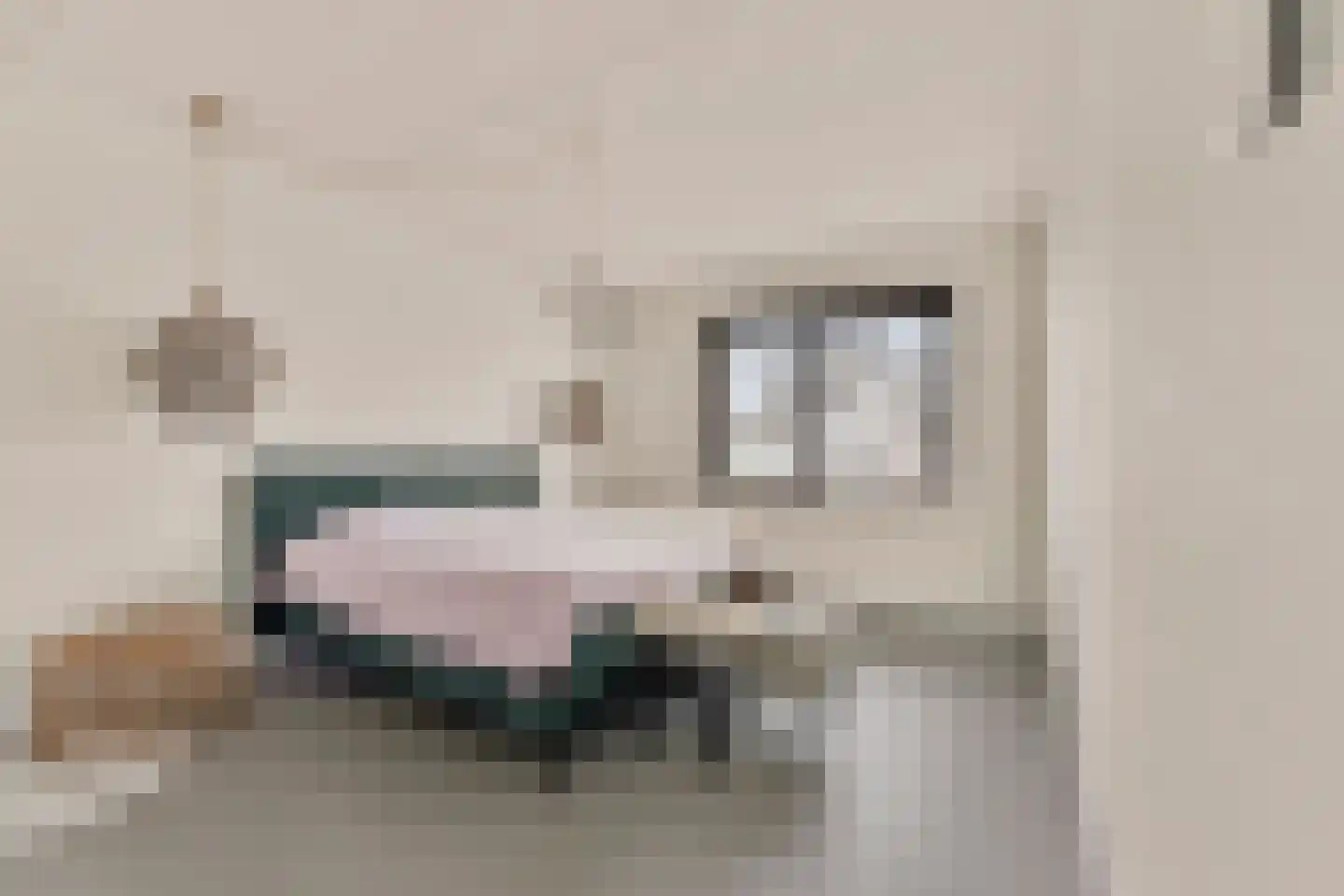 Keizersallee 22 Huissen thumbnail 18