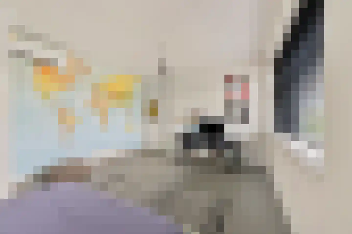 Keizersallee 22 Huissen thumbnail 21