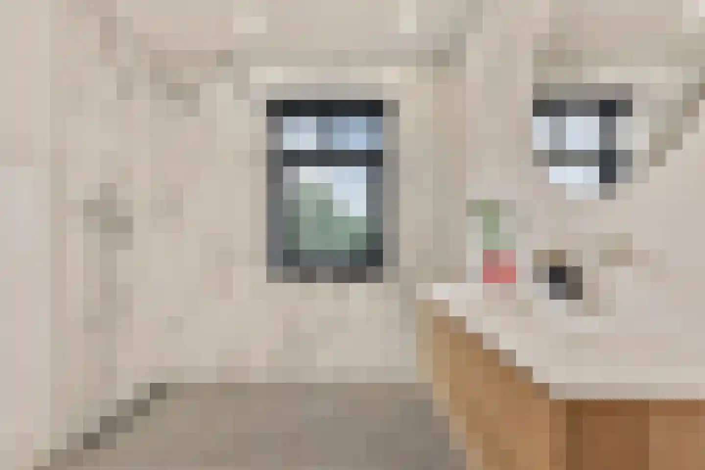Keizersallee 22 Huissen thumbnail 23