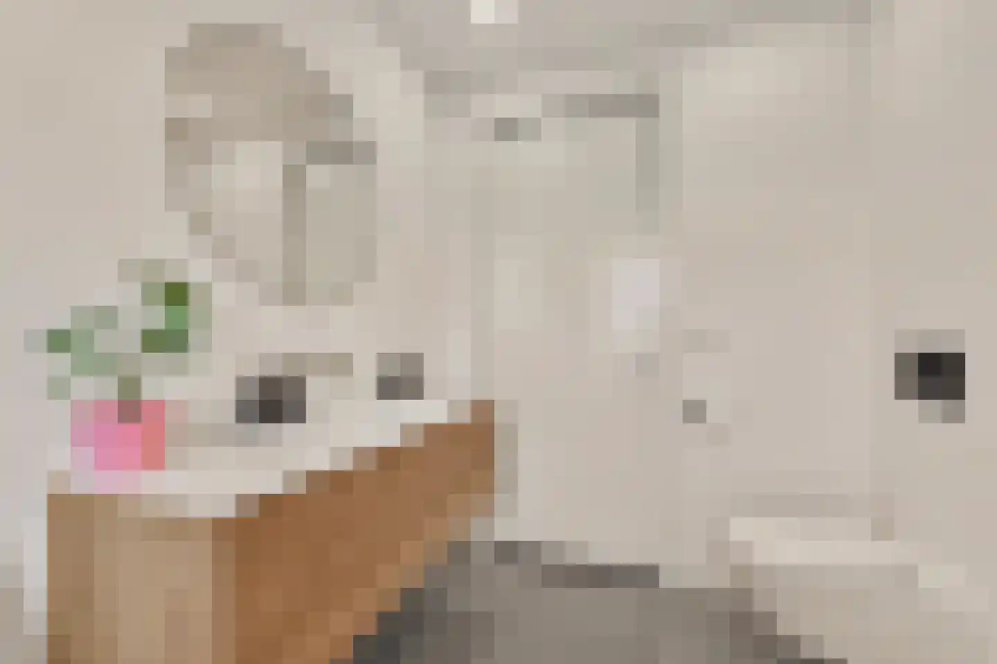 Keizersallee 22 Huissen thumbnail 24
