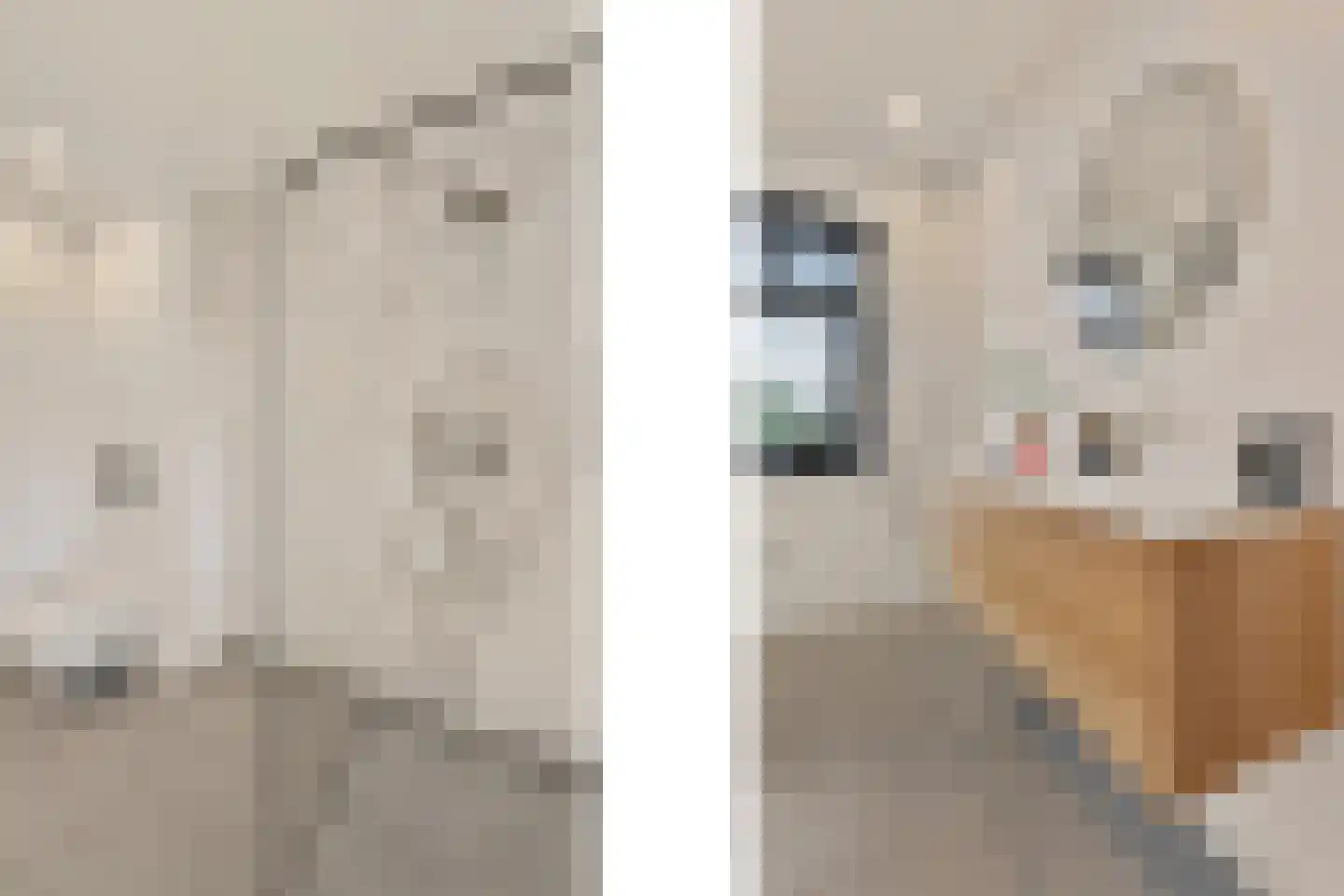 Keizersallee 22 Huissen thumbnail 25